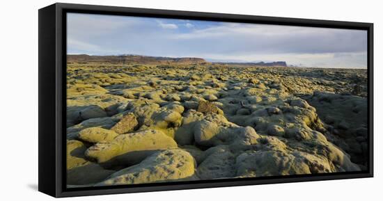 Moss Cushion on a Lava Field, Near Kirkjubaerklaustur, Eldhraun, South Iceland, Iceland-Rainer Mirau-Framed Premier Image Canvas