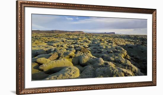 Moss Cushion on a Lava Field, Near Kirkjubaerklaustur, Eldhraun, South Iceland, Iceland-Rainer Mirau-Framed Photographic Print