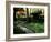 Moss Garden, Saiho-Ji Temple (Kokedera), Kyoto, Japan-null-Framed Photographic Print