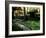 Moss Garden, Saiho-Ji Temple (Kokedera), Kyoto, Japan-null-Framed Photographic Print