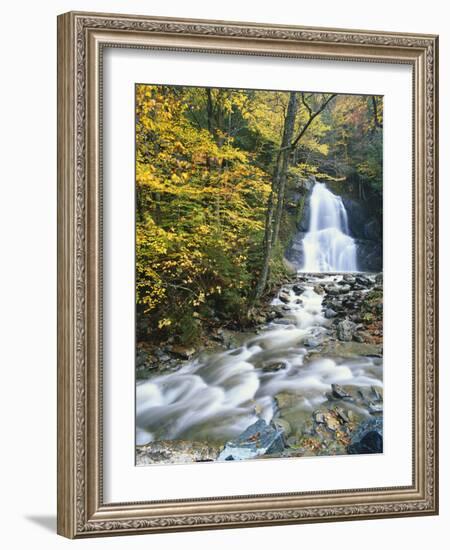 Moss Glen Falls in Autumn, Granvillie, Vermont, USA-Adam Jones-Framed Photographic Print