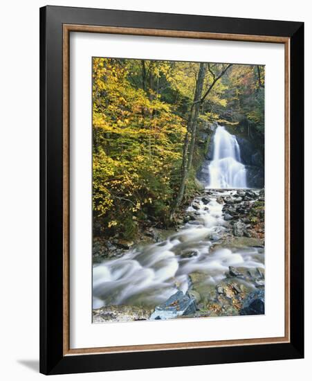Moss Glen Falls in Autumn, Granvillie, Vermont, USA-Adam Jones-Framed Photographic Print