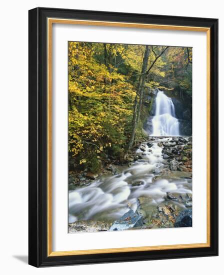 Moss Glen Falls in Autumn, Granvillie, Vermont, USA-Adam Jones-Framed Photographic Print