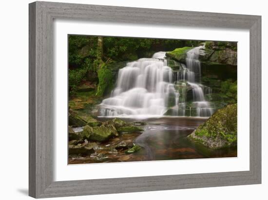 Moss on the Rocks at Elakala Falls-Michael Blanchette-Framed Photographic Print