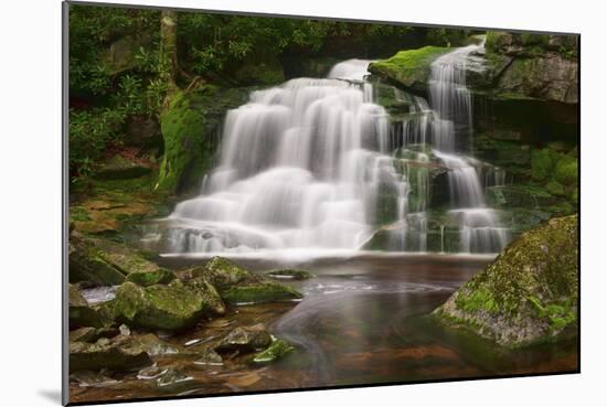 Moss on the Rocks at Elakala Falls-Michael Blanchette-Mounted Photographic Print