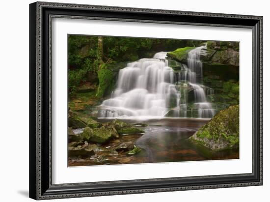 Moss on the Rocks at Elakala Falls-Michael Blanchette-Framed Photographic Print