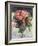 Moss-Roses, c.1890-Pierre-Auguste Renoir-Framed Giclee Print