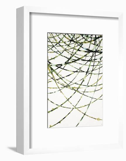 Moss Vine-Candice Alford-Framed Art Print