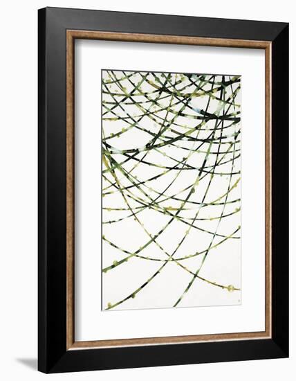 Moss Vine-Candice Alford-Framed Art Print