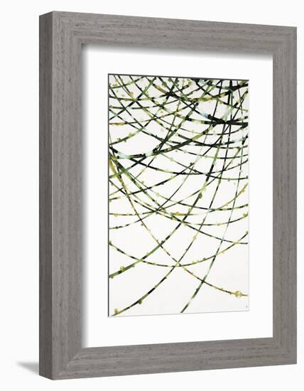 Moss Vine-Candice Alford-Framed Art Print