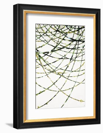 Moss Vine-Candice Alford-Framed Art Print