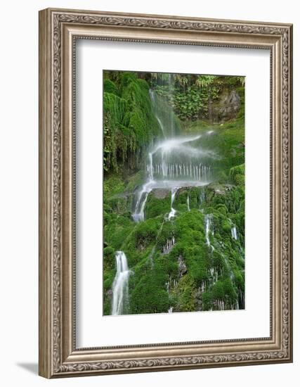 Moss Waterfall-Lynda White-Framed Photographic Print