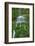 Moss Waterfall-Lynda White-Framed Photographic Print