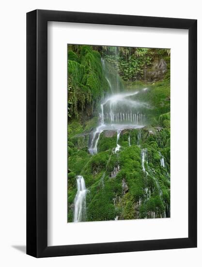 Moss Waterfall-Lynda White-Framed Photographic Print