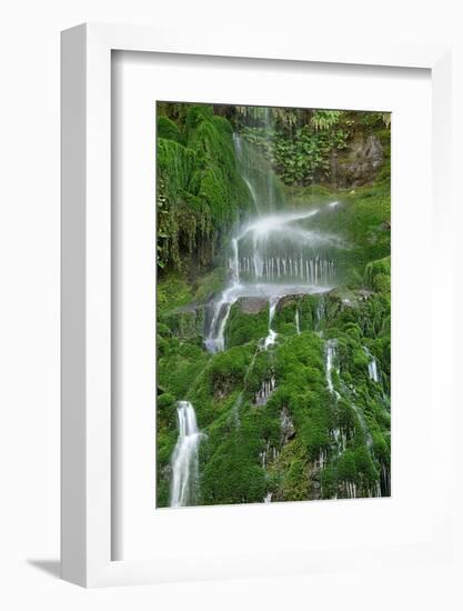 Moss Waterfall-Lynda White-Framed Photographic Print