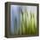 Moss-Ursula Abresch-Framed Premier Image Canvas