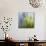 Moss-Ursula Abresch-Mounted Premium Photographic Print displayed on a wall