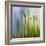 Moss-Ursula Abresch-Framed Photographic Print