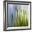 Moss-Ursula Abresch-Framed Photographic Print