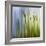 Moss-Ursula Abresch-Framed Photographic Print