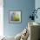 Moss-Ursula Abresch-Framed Photographic Print displayed on a wall