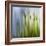 Moss-Ursula Abresch-Framed Photographic Print