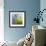 Moss-Ursula Abresch-Framed Photographic Print displayed on a wall