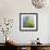 Moss-Ursula Abresch-Framed Photographic Print displayed on a wall