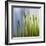 Moss-Ursula Abresch-Framed Photographic Print