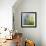 Moss-Ursula Abresch-Framed Photographic Print displayed on a wall