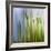 Moss-Ursula Abresch-Framed Photographic Print