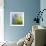 Moss-Ursula Abresch-Framed Photographic Print displayed on a wall