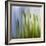 Moss-Ursula Abresch-Framed Photographic Print