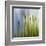 Moss-Ursula Abresch-Framed Premium Photographic Print