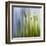 Moss-Ursula Abresch-Framed Premium Photographic Print