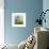 Moss-Ursula Abresch-Framed Premium Photographic Print displayed on a wall