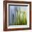 Moss-Ursula Abresch-Framed Premium Photographic Print