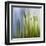 Moss-Ursula Abresch-Framed Premium Photographic Print