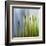 Moss-Ursula Abresch-Framed Premium Photographic Print