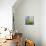 Moss-Ursula Abresch-Mounted Premium Photographic Print displayed on a wall