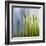 Moss-Ursula Abresch-Framed Premium Photographic Print