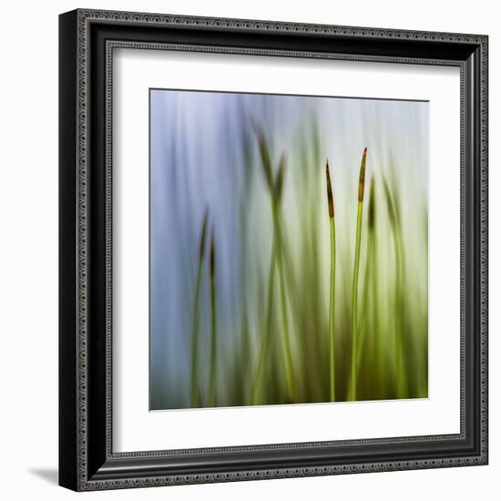 Moss-Ursula Abresch-Framed Premium Photographic Print