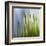 Moss-Ursula Abresch-Framed Premium Photographic Print