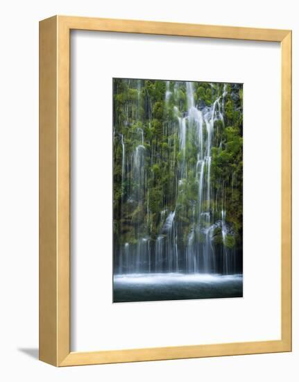 Mossbrae Weeping Waterfall, Mount Shasta California-Vincent James-Framed Photographic Print