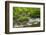 Mossy boulders and wooden bridge over East Lyn River, UK-Ross Hoddinott-Framed Photographic Print