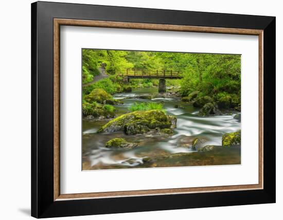 Mossy boulders and wooden bridge over East Lyn River, UK-Ross Hoddinott-Framed Photographic Print