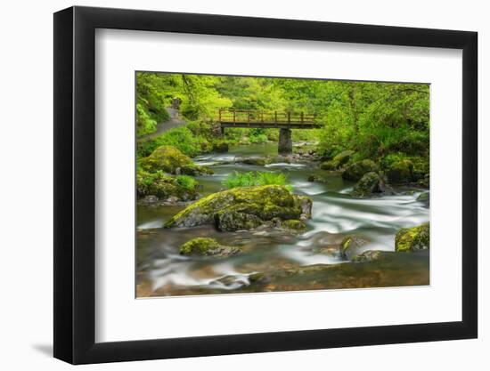 Mossy boulders and wooden bridge over East Lyn River, UK-Ross Hoddinott-Framed Photographic Print