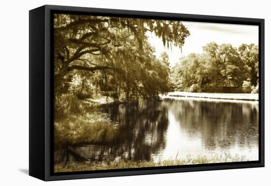 Mossy Lake I-Alan Hausenflock-Framed Premier Image Canvas