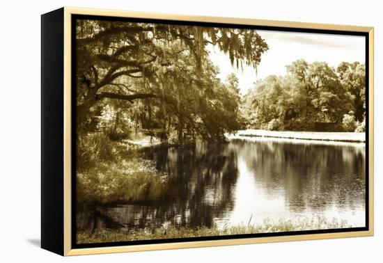 Mossy Lake I-Alan Hausenflock-Framed Premier Image Canvas