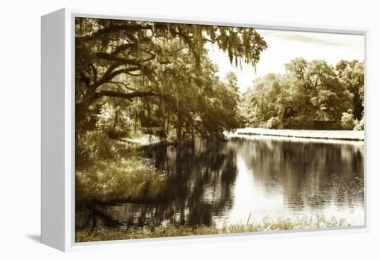 Mossy Lake I-Alan Hausenflock-Framed Premier Image Canvas